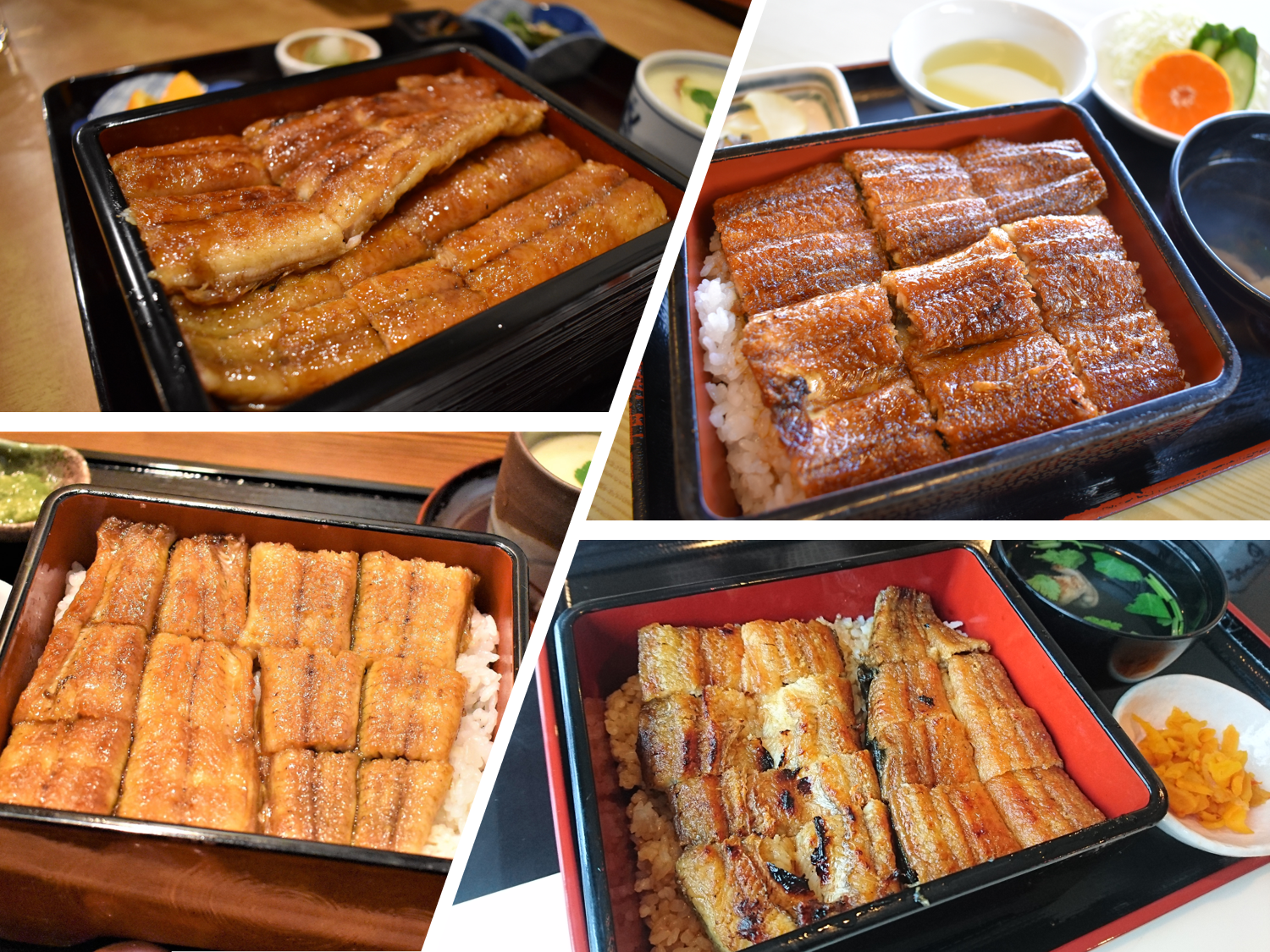 うなぎ ウナギ 鰻 あの店この店 地焼きでいただく高知の鰻屋を食べ歩き 食べ歩きスト マッキー牧元の高知満腹日記セレクション 高知県のあれこれまとめサイト 高知家の