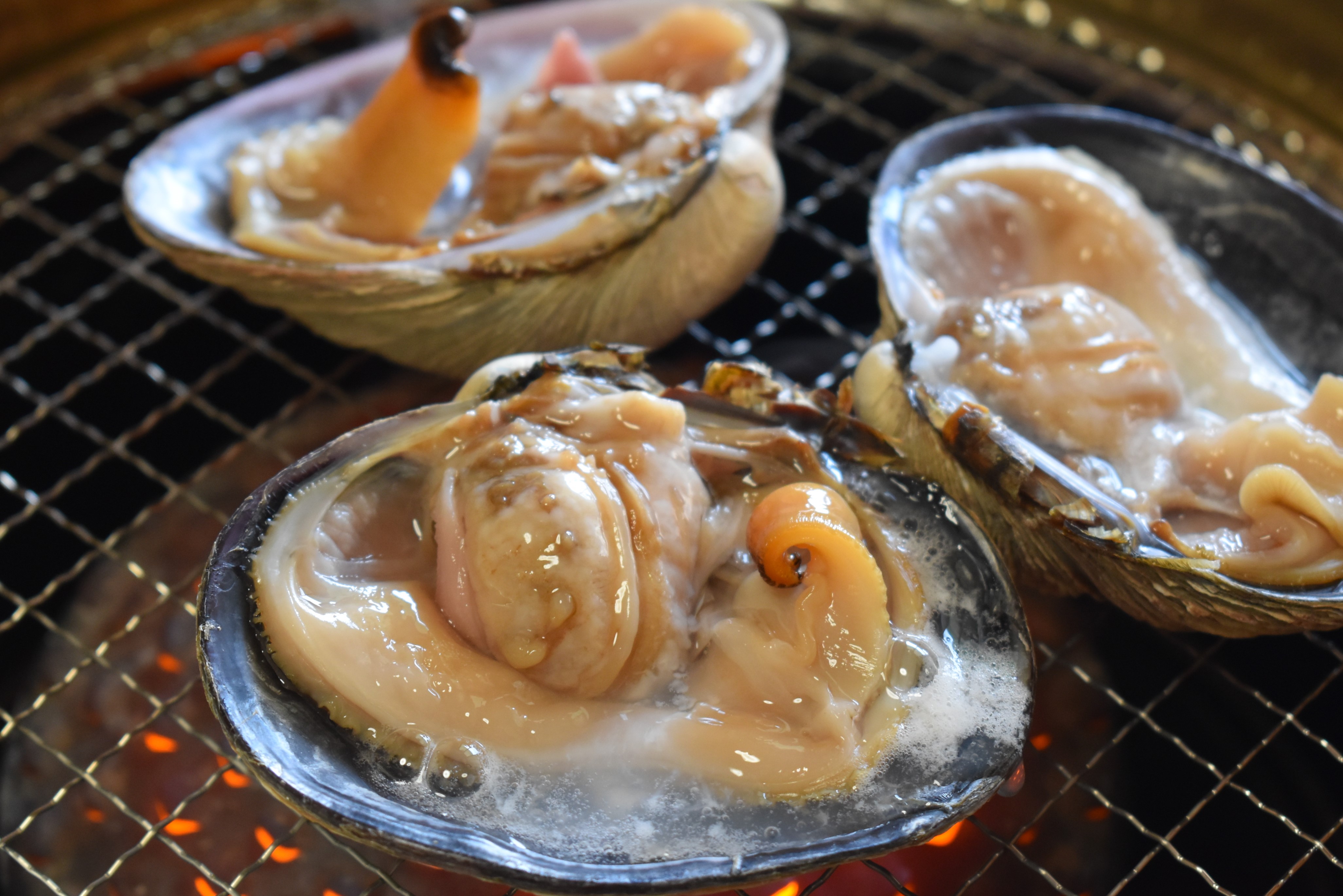 刺身喰う 貝焼く 肉も焼く 〆にはおじやと炊き込みが待っている創業50年の愛され茶屋 美食おじさん マッキー牧元の高知満腹日記 Season2 高知県公式 高知県のあれこれまとめサイト 高知家の