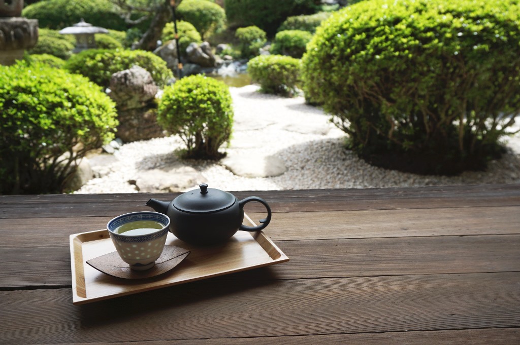 新茶の季節到来！日本茶インストラクターに美味しい土佐茶の淹れ方を