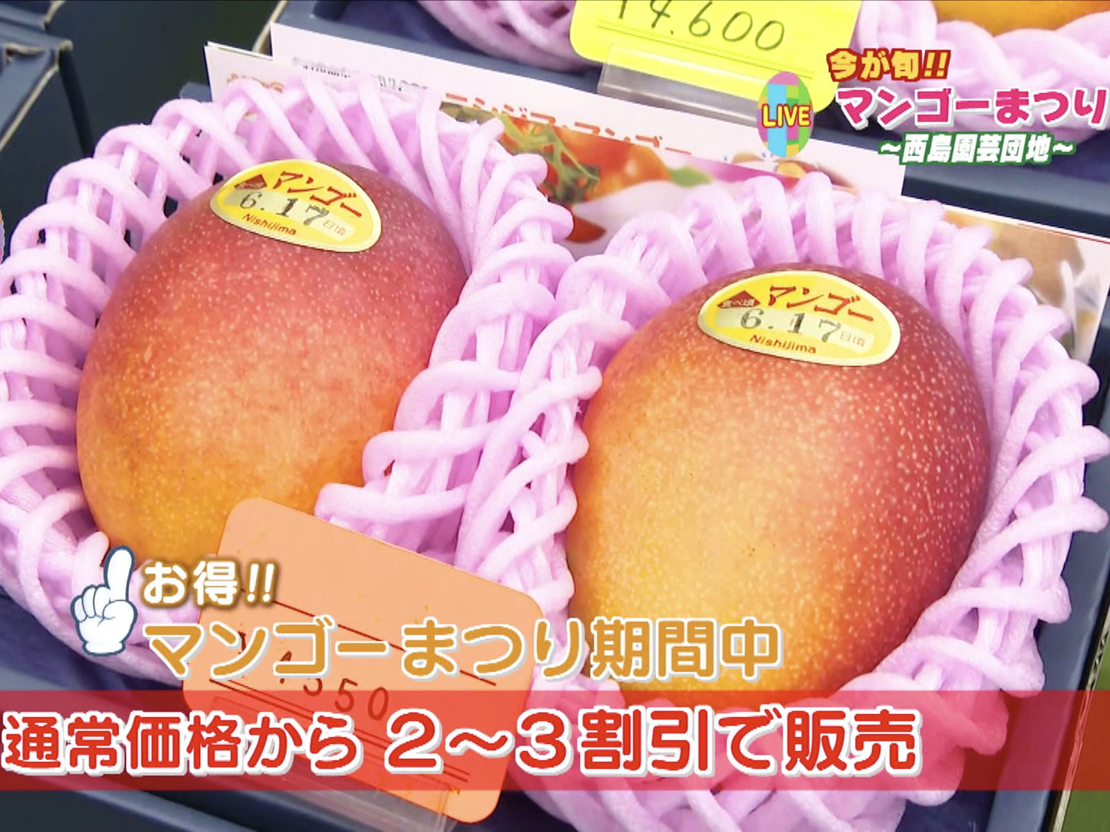 濃厚な甘さトロける食感！「西島園芸団地」で完熟マンゴー食べまくり