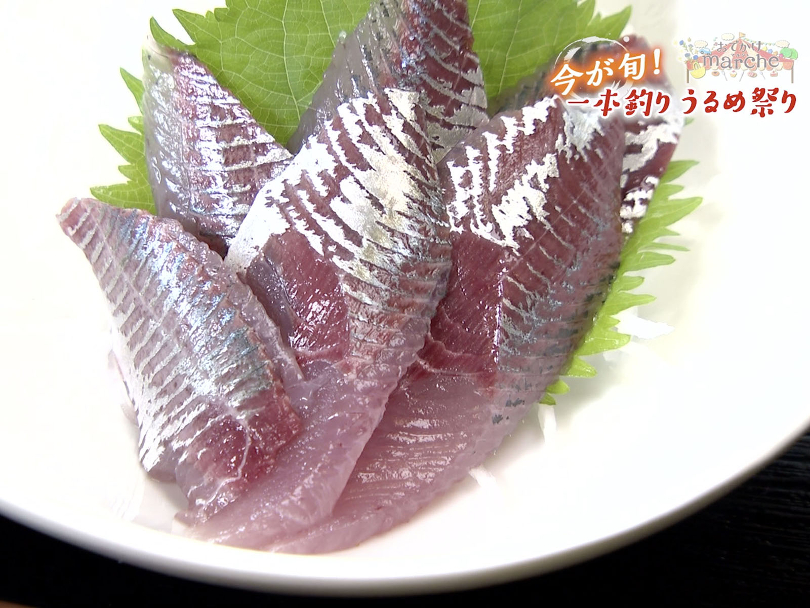 夏が旬！脂がのって最高な「うるめいわし」を土佐市でお腹いっぱい堪能