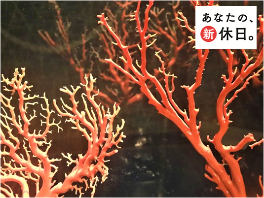 ミニ工芸品　珊瑚