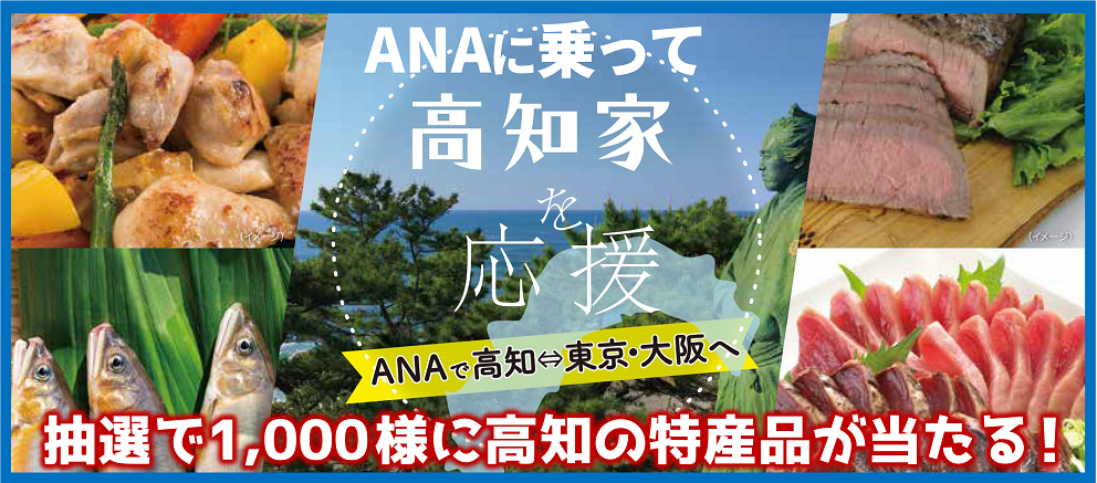 ANAに乗って「高知家」応援キャンペーン！