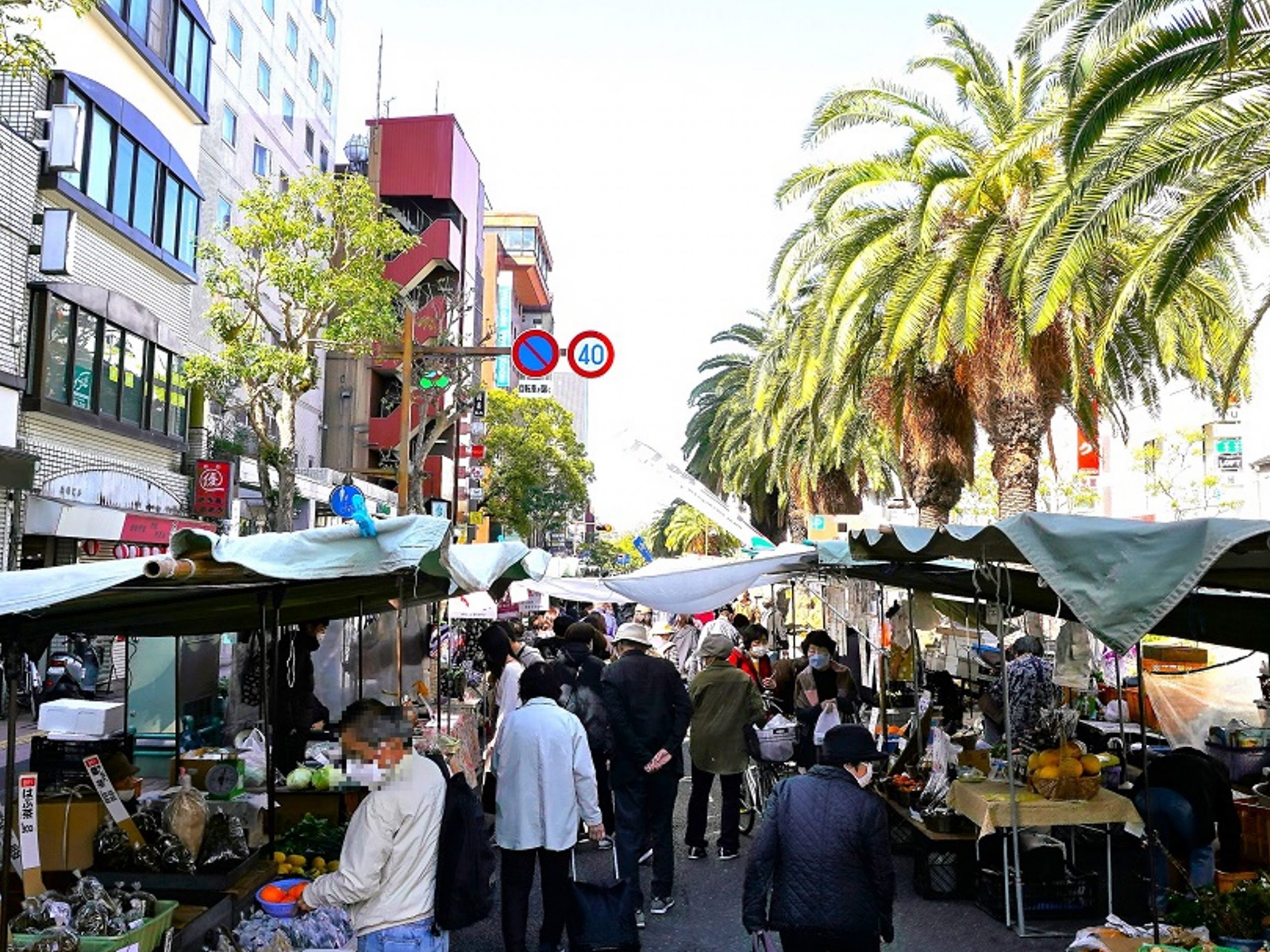 高知 日曜 市
