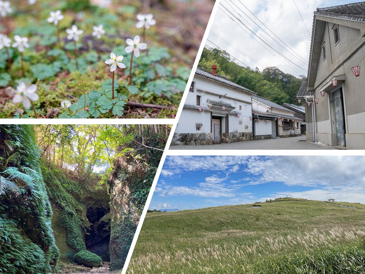 【プレミア本】丘の上の牧師館【コレクター向き】 高知県出身の植物学者・牧野富太郎が主人公のモデルとなった連続テレビ