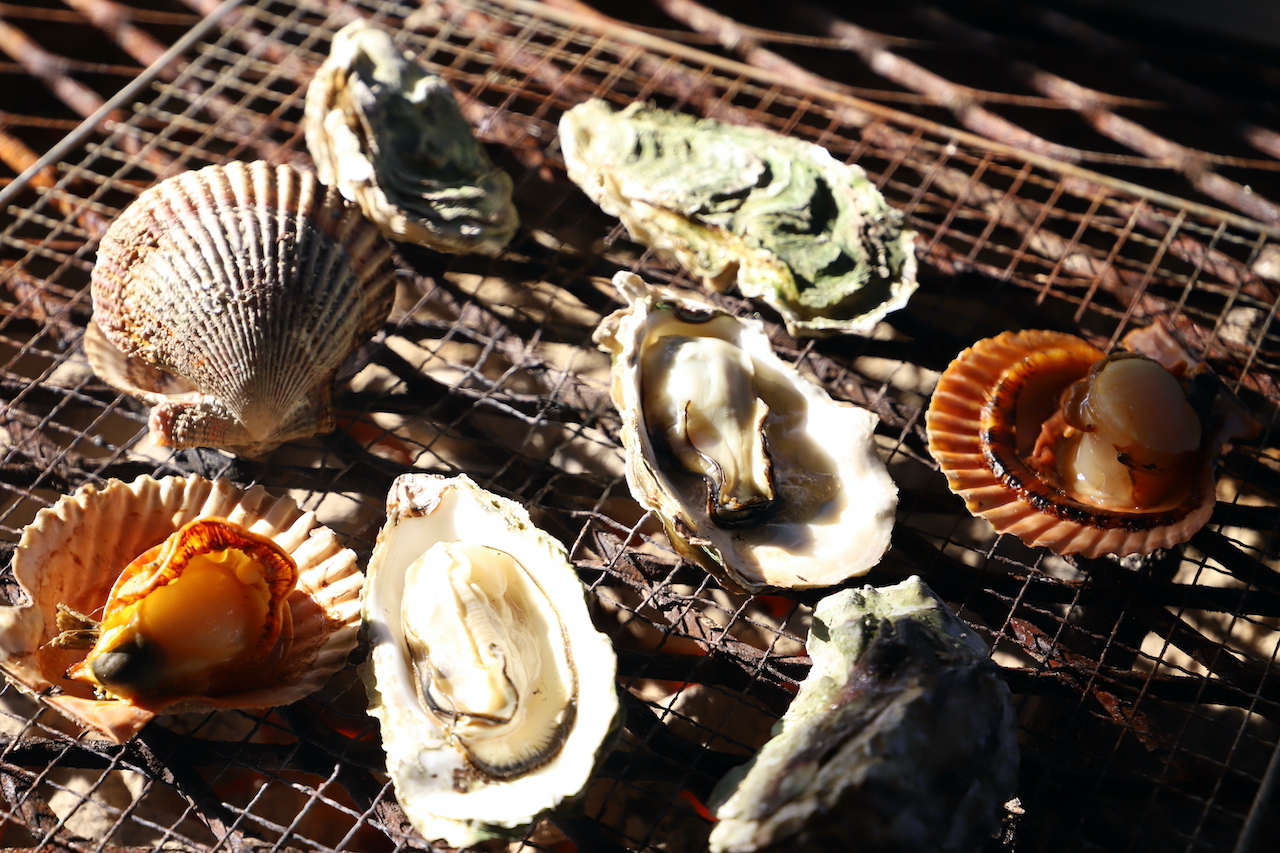 高知グルメ】海のそばでたっぷり味わう貝焼き！「漁師料理 海女」ほっとこうちオススメ情報 | 【高知県公式】高知県のあれこれまとめサイト「高知家の◯◯」