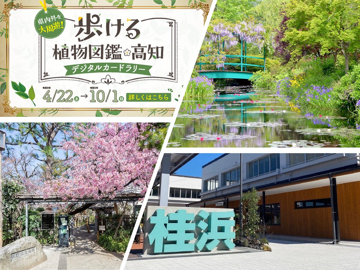 スマッシュ・ザ・ケーキをやってみませんか？