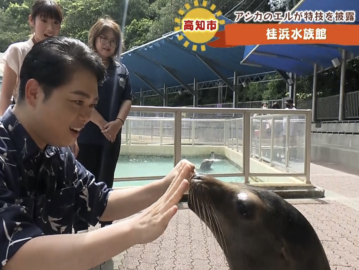 三山ひろしのさんさん歩】人気の「ハマスイ」こと「桂浜水族館」の