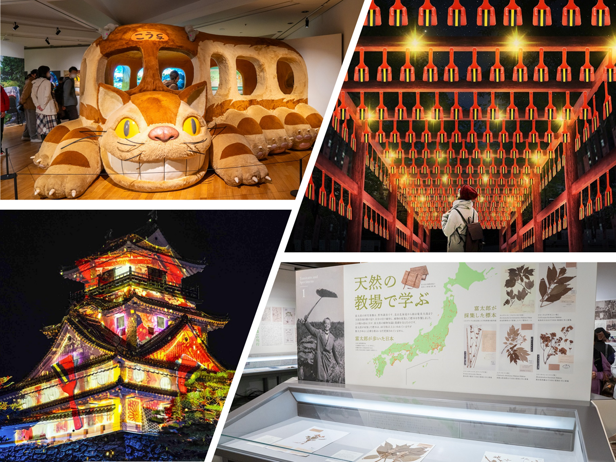 高知観光】刀剣に牧野博士にネコバス、イルミネーションも！年始から