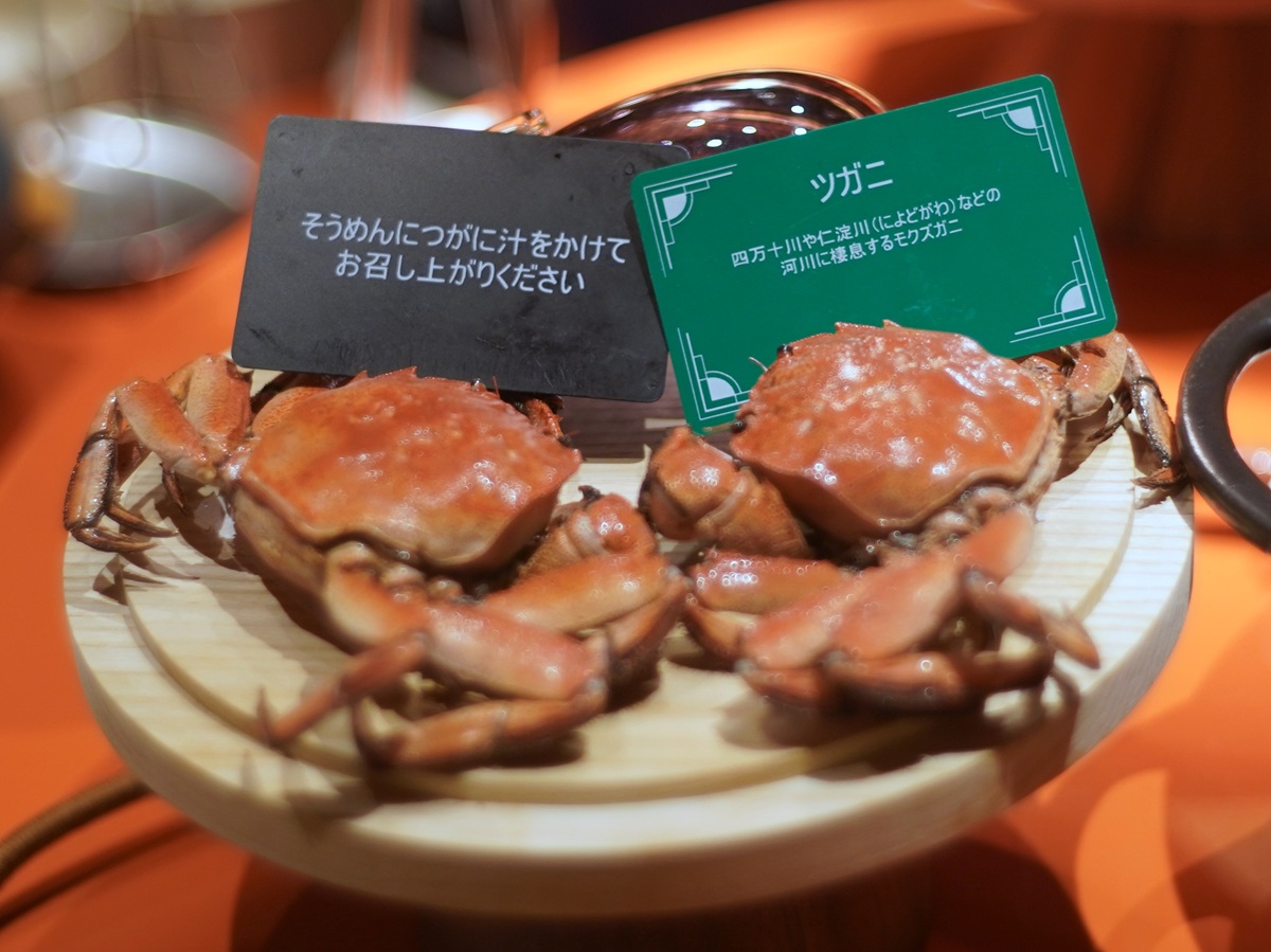DSC01404top-1.jpg