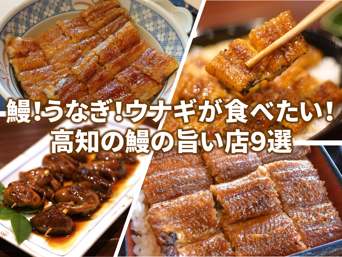 高知グルメPro】鰻！うなぎ！ウナギが食べたい！高知の鰻の旨い店