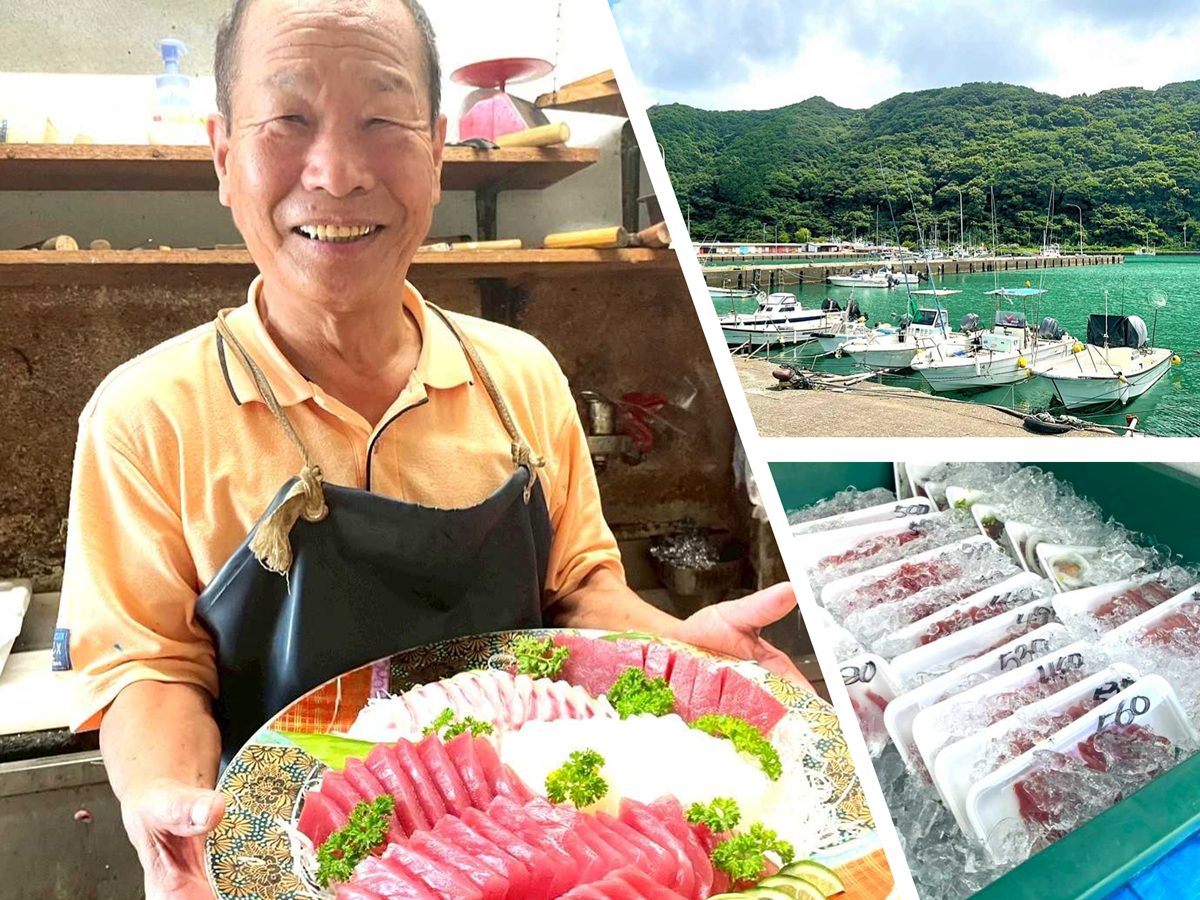 高知家の後継者募集】碧い海を臨むブランド鯖「清水サバ」の聖地・土佐