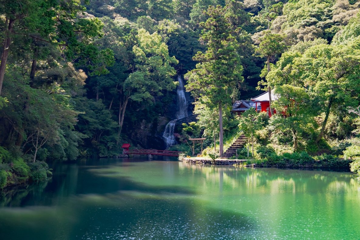 森の中にある湖 AI 生成コンテンツは誤りを含む可能性があります。