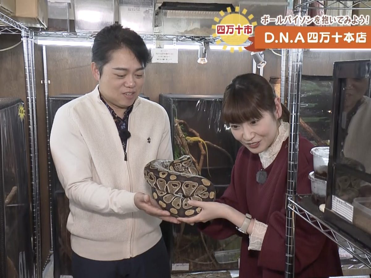 三山ひろしのさんさん歩】見て触れて初めてわかる生き物の魅力！「爬虫